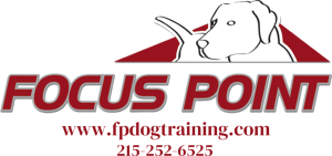 Focus Point Dog Training